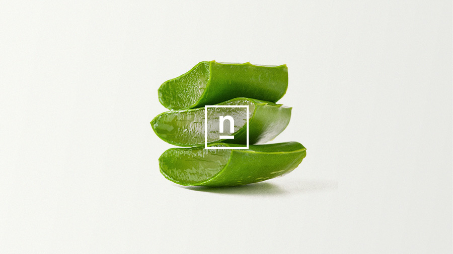 Imagen del nuevo branding de Naturae